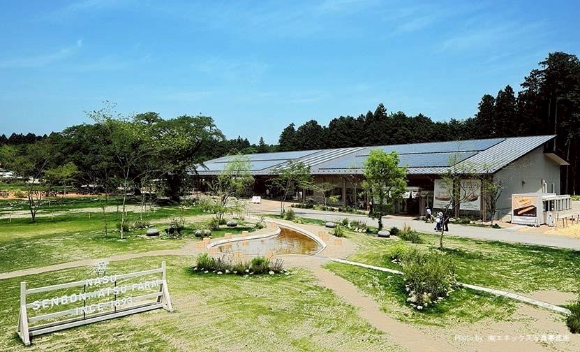 ホウライ㈱千本松牧場　レストラン棟・売店棟　新築工事施工写真